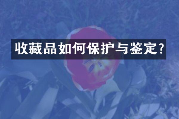 收藏品如何保护与鉴定?