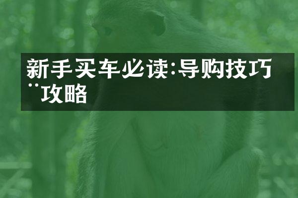 新手买车必读:导购技巧全攻略