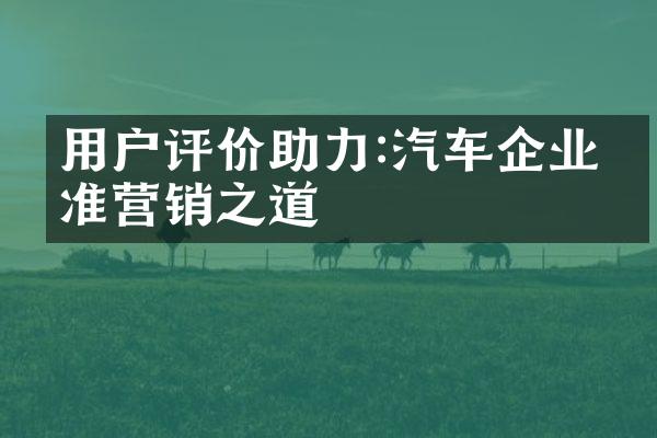 用户评价助力:汽车企业精准营销之道