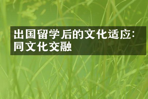 出国留学后的文化适应:不同文化交融