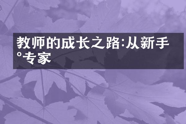 教师的成长之路:从新手到专家