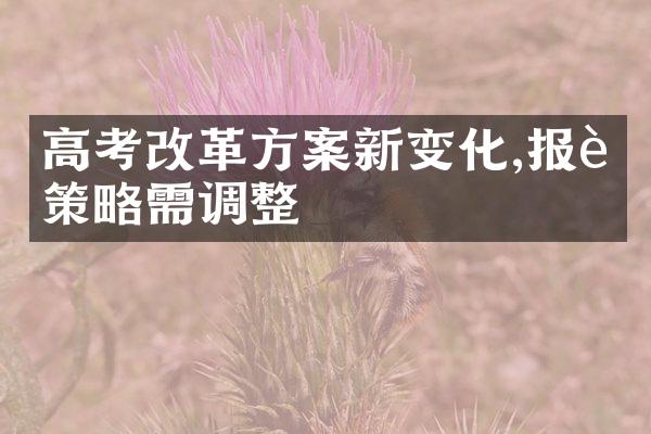 高考改革方案新变化,报考策略需调整