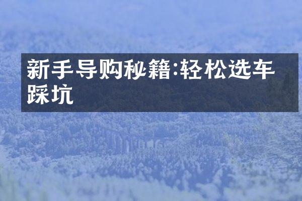 新手导购秘籍:轻松选车不踩坑