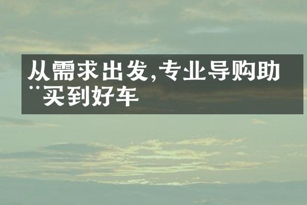 从需求出发,专业导购助您买到好车