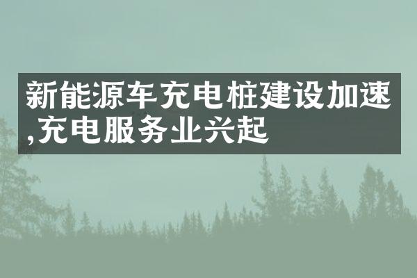 新能源车充电桩建设加速,充电服务业兴起