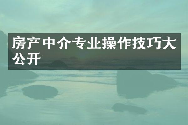 房产中介专业操作技巧大公开