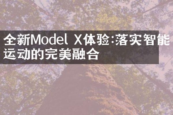 全新Model X体验:落实智能与运动的完美融合