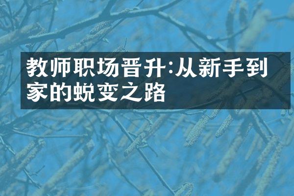 教师职场晋升:从新手到专家的蜕变之路