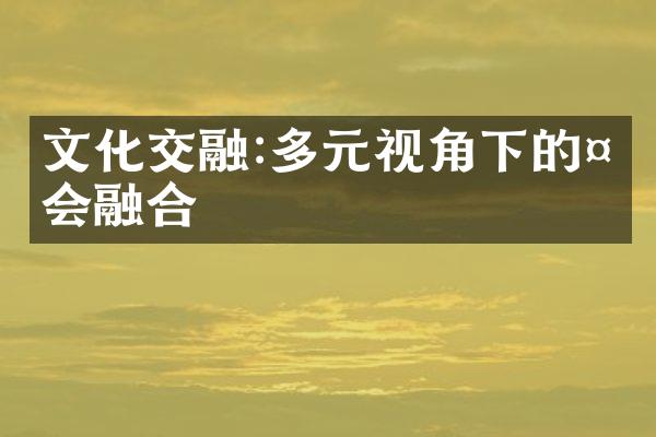 文化交融:多元视角下的社会融合