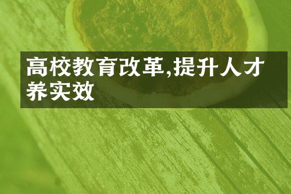 高校教育改革,提升人才培养实效