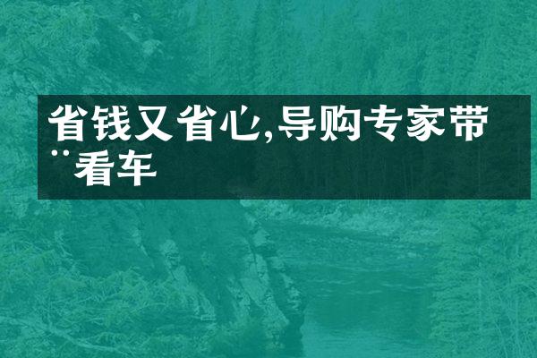 省钱又省心,导购专家带您看车