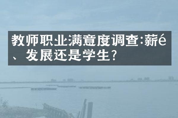 教师职业满意度调查:薪酬、发展还是学生?