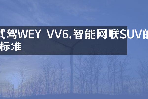 试驾WEY VV6,智能网联SUV的新标准