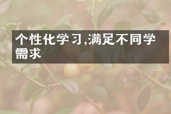 个性化学习,满足不同学生需求