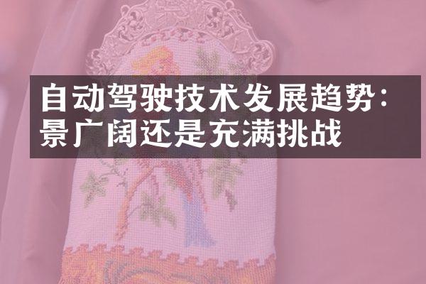 自动驾驶技术发展趋势:前景广阔还是充满挑战