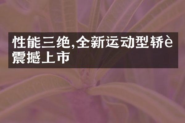 性能三绝,全新运动型轿车震撼上市