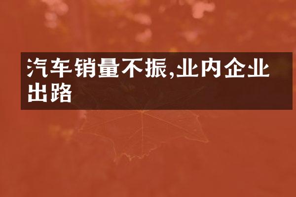 汽车销量不振,业内企业寻出路