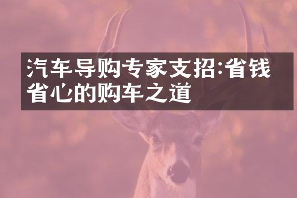 汽车导购专家支招:省钱又省心的购车之道