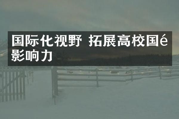 国际化视野 拓展高校国际影响力