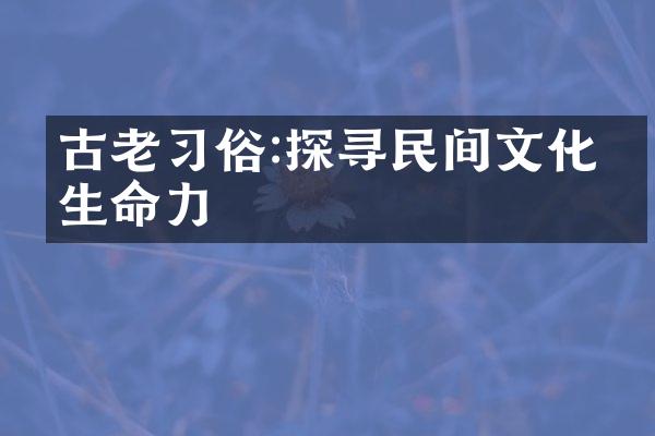 古老习俗:探寻民间文化的生命力