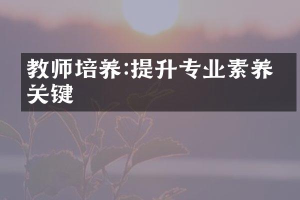 教师培养:提升专业素养的关键