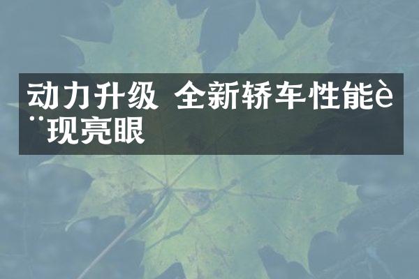 动力升级 全新轿车性能表现亮眼