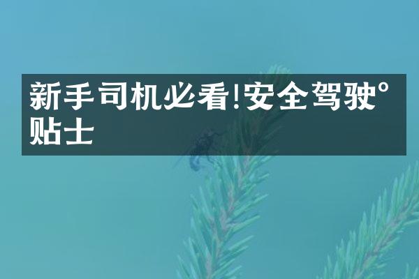 新手司机必看!安全驾驶小贴士