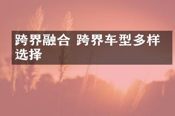 跨界融合 跨界车型多样化选择