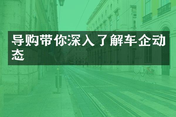 导购带你深入了解车企动态