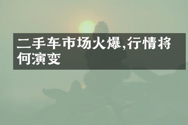 二手车市场火爆,行情将如何演变