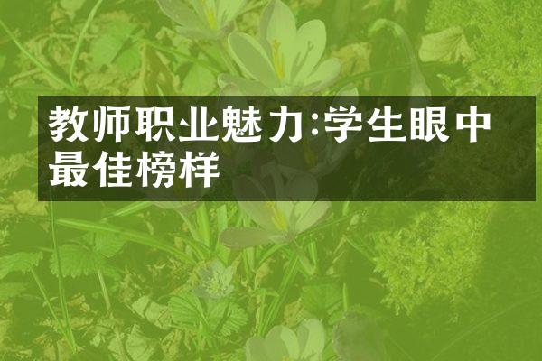 教师职业魅力:学生眼中的最佳榜样