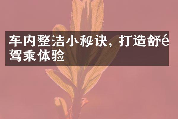 车内整洁小秘诀, 打造舒适驾乘体验