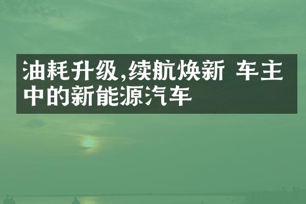 油耗升级,续航焕新 车主眼中的新能源汽车