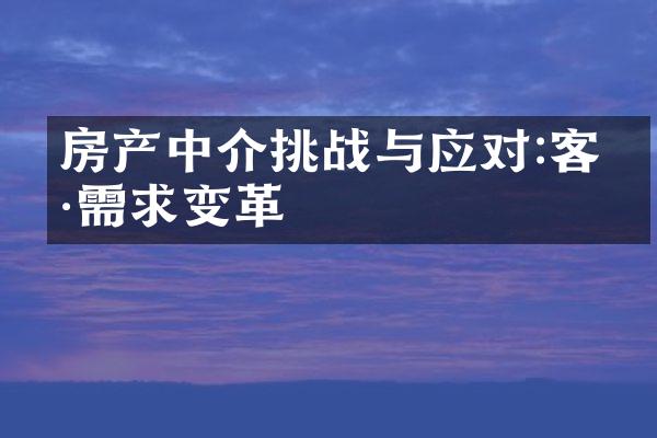 房产中介挑战与应对:客户需求变革