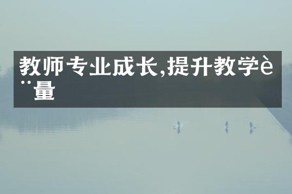 教师专业成长,提升教学质量