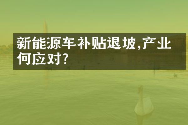 新能源车补贴退坡,产业如何应对?