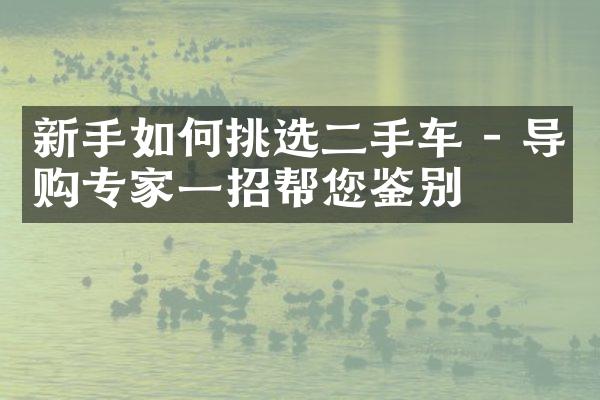 新手如何挑选二手车 - 导购专家一招帮您鉴别