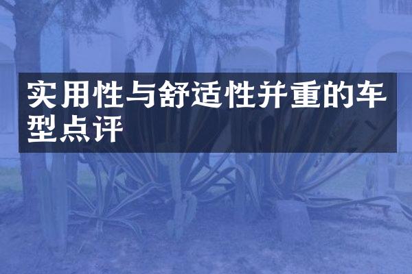 实用性与舒适性并重的车型点评