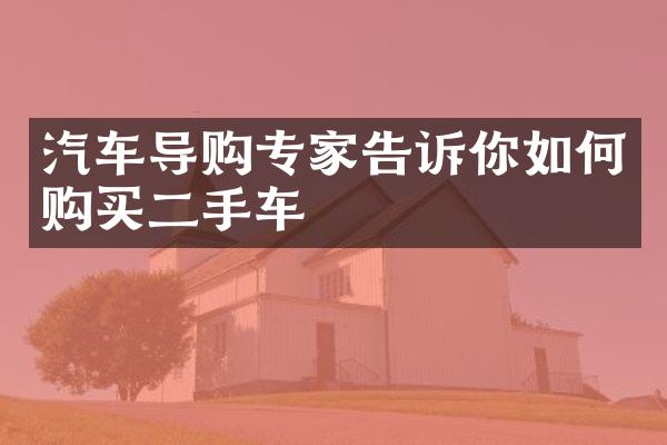 汽车导购专家告诉你如何购买二手车