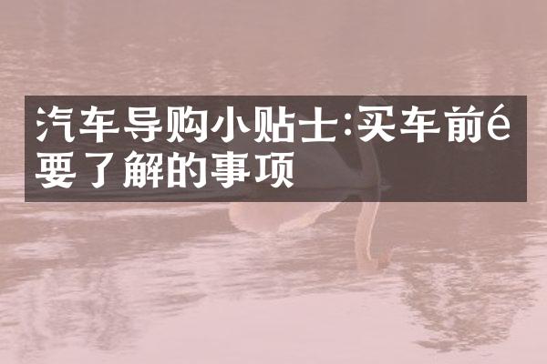 汽车导购小贴士:买车前需要了解的事项