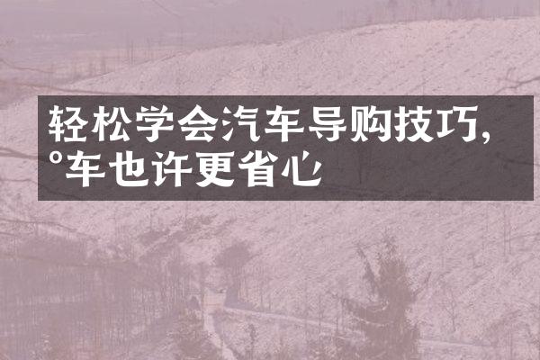 轻松学会汽车导购技巧,买车也许更省心