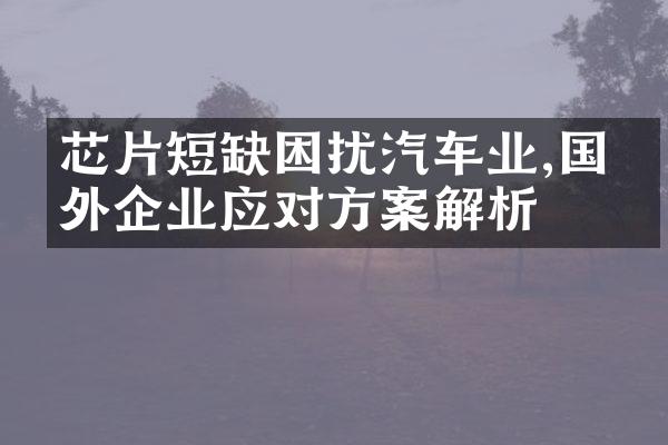 芯片短缺困扰汽车业,国内外企业应对方案解析