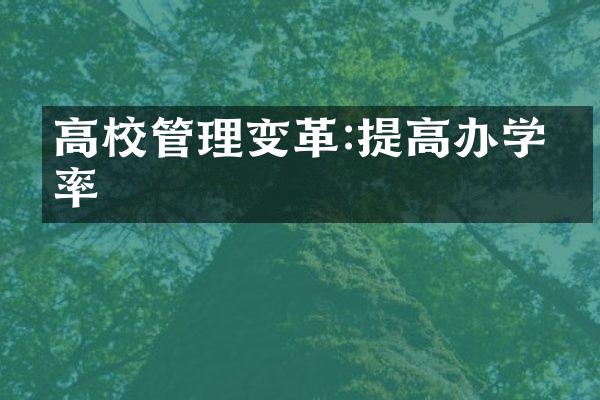 高校管理变革:提高办学效率