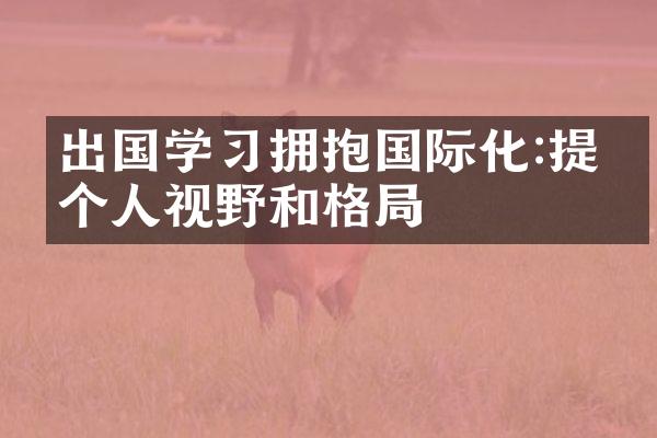 出国学习拥抱国际化:提升个人视野和格局