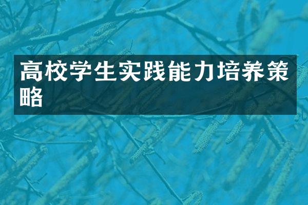 高校学生实践能力培养策略