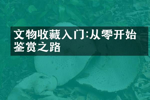 文物收藏入门:从零开始的鉴赏之路