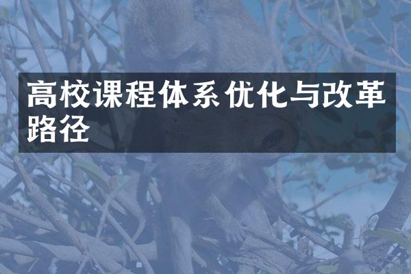 高校课程体系优化与改革路径