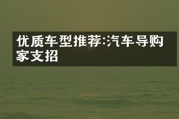 优质车型推荐:汽车导购专家支招