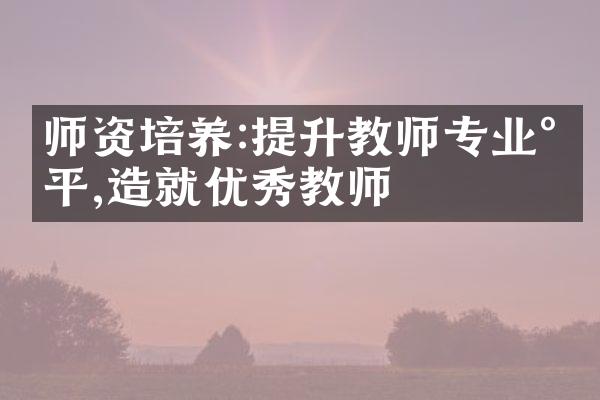 师资培养:提升教师专业水平,造就优秀教师