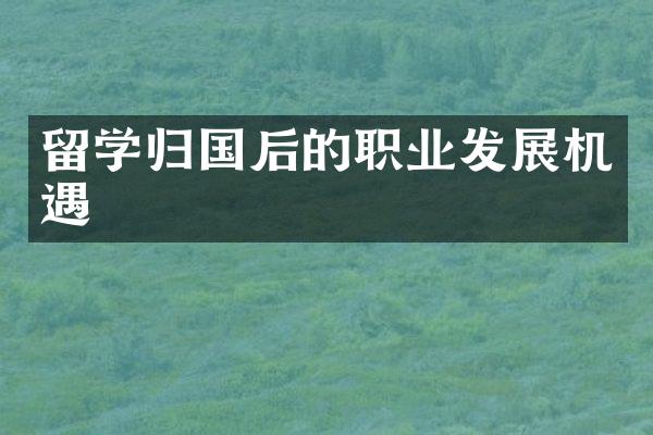 留学归国后的职业发展机遇